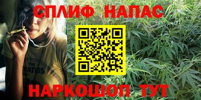 PSILOCYBIN Канаш