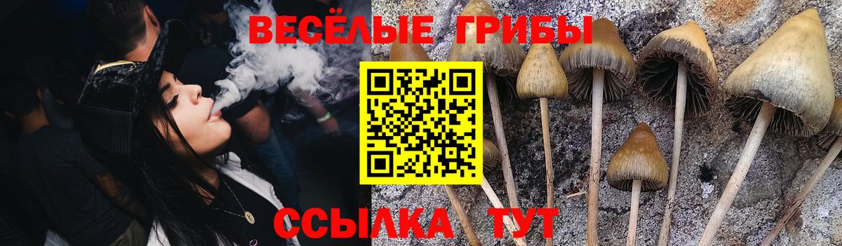 Галлюциногенные грибы прущие грибы Лениногорск