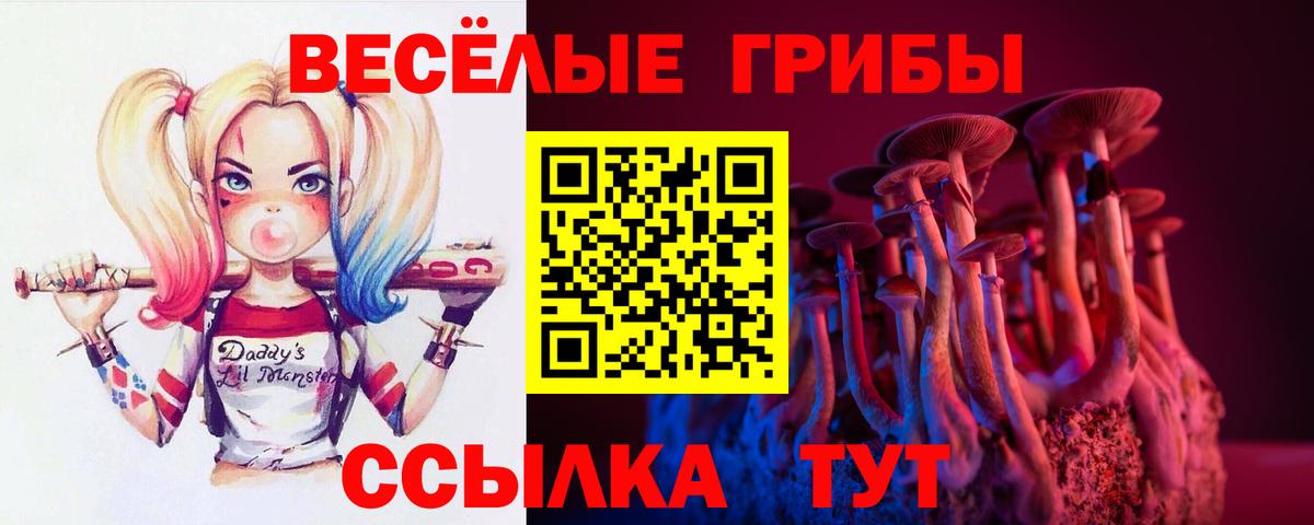 Лениногорск  дарнет шоп  Вход с VPN  Псилоцибиновые грибы Psilocybe 